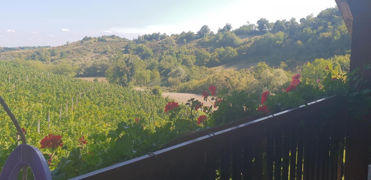 Klet Jana Bed & Breakfast Ястребарско Екстериор снимка